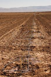 Image du Maroc Professionnelle de  Système moderne d'arrosage qui laisse passer l’eau petit à petit, dit "goutte à goutte" dans une nouvelle ferme où l’on procède à la plantation d'orangers à Chichaoua, Mardi 27 Février 2007. (Photo / Abdeljalil Bounhar)